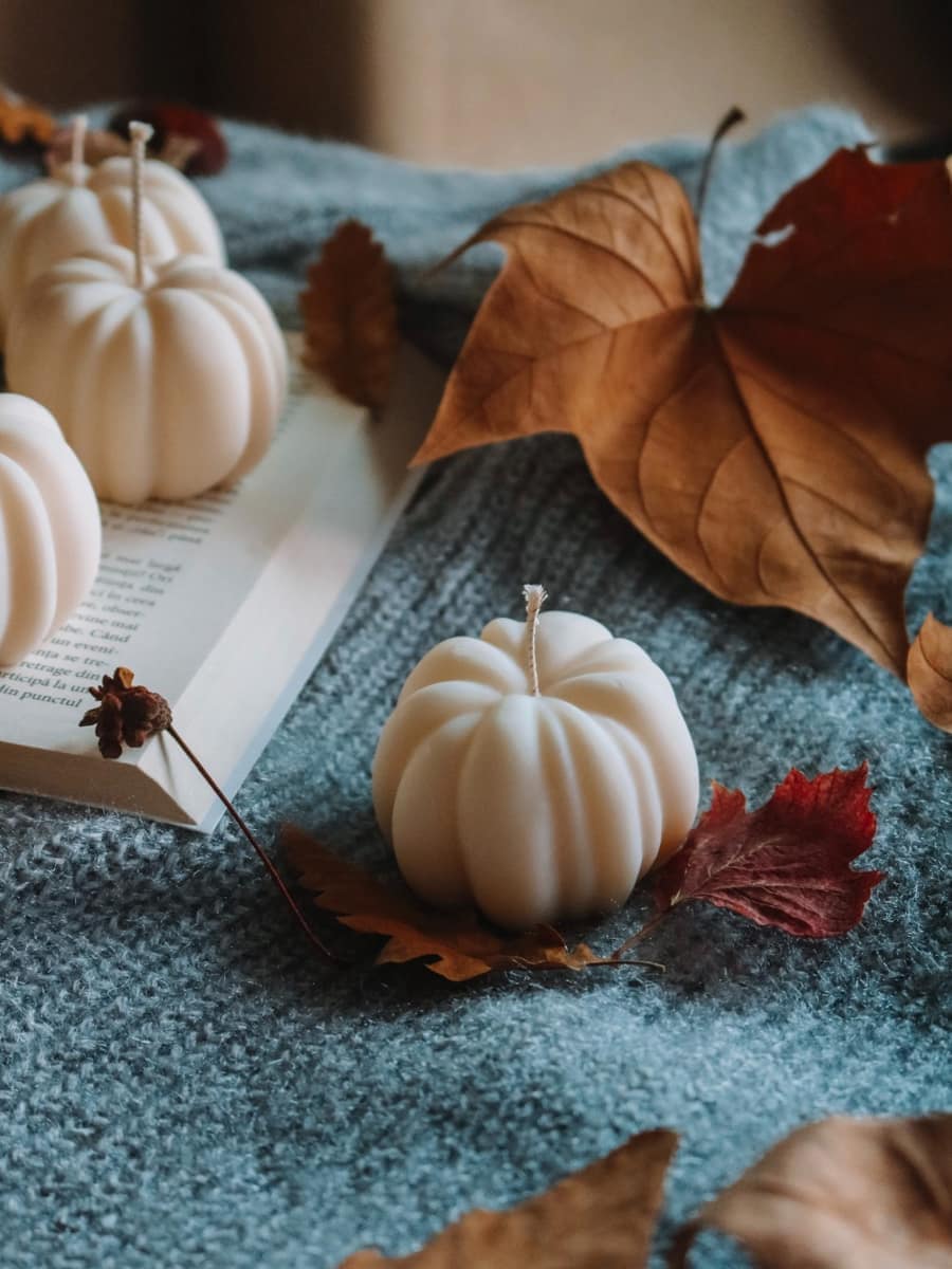 Pumpkin - imagine 5